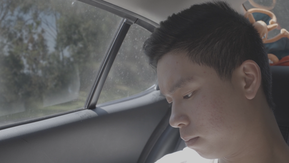 Masked car interior scene showing simulated driving