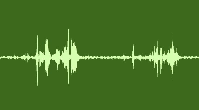 Waveform visual of sound editing